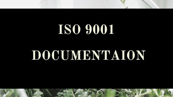 Requirements for ISO 9001 Documentation