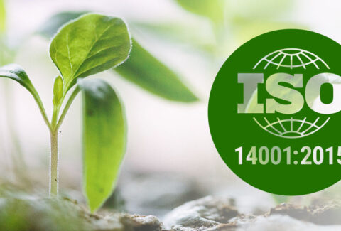 ISO 14001-Anforderungen