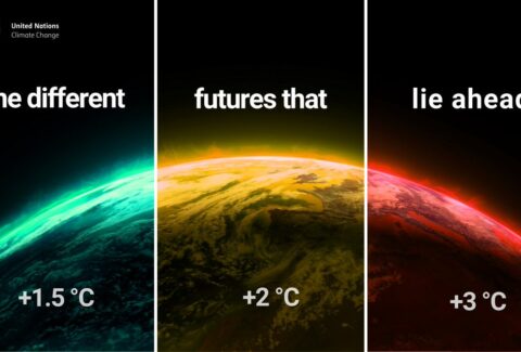 Important Role of ISO 14001 in Global Warming