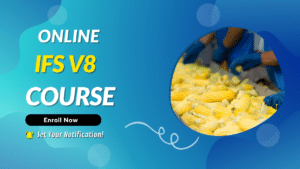 IFS V8 Online Training