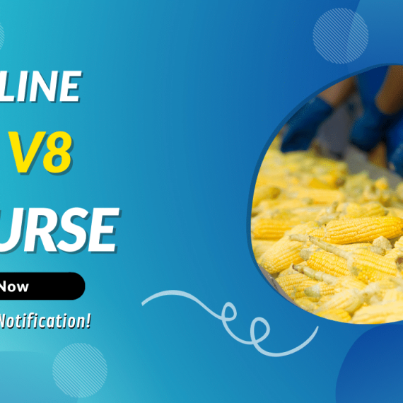IFS V8 Online Training