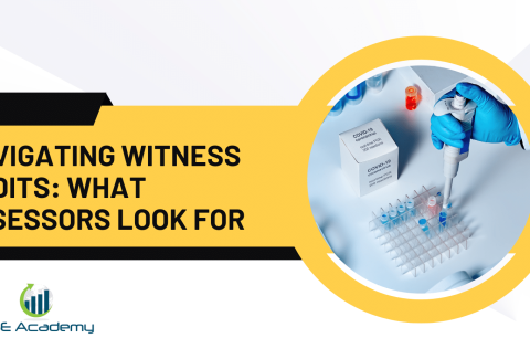 Navigating Witness Audits What Assessors Look For