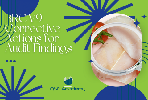 BRC V9 Corrective Actions for Audit Findings