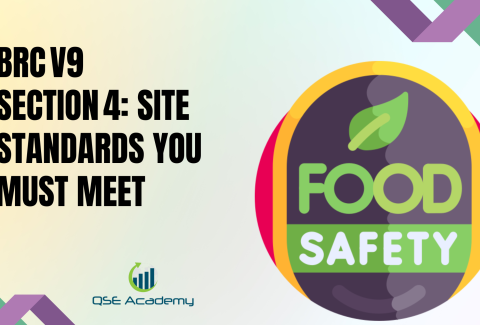 BRC V9 Section 4 Site Standards You Must Meet
