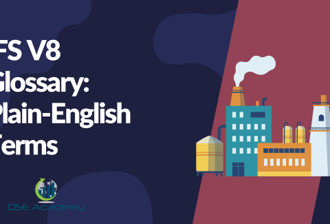 IFS V8 Glossary Plain‑English Terms