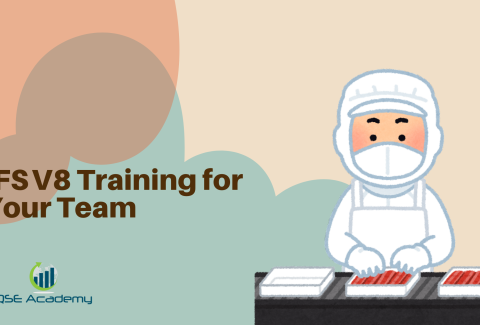 IFS V8 Training for Your Team