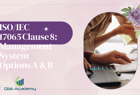 ISOIEC 17065 Clause 8 Management System Options A & B