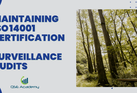 Maintaining ISO 14001 Certification – Surveillance Audits