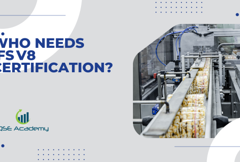 Who Needs IFS V8 Certification