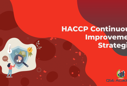 HACCP Continuous‑Improvement Strategies