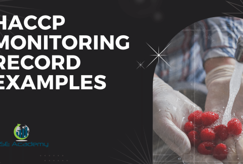 HACCP Monitoring Record Examples