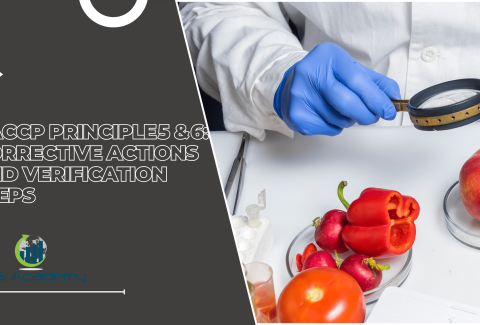 HACCP Principle 5 & 6 Corrective Actions and Verification Steps