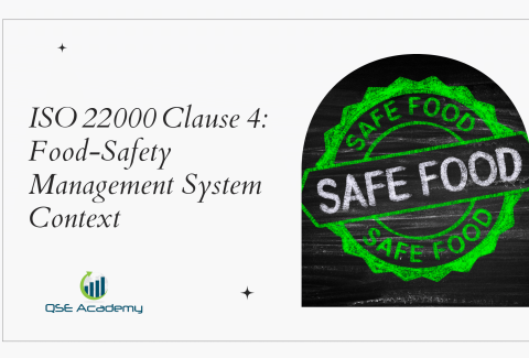 ISO 22000 Clause 4 Food‑Safety Management System Context