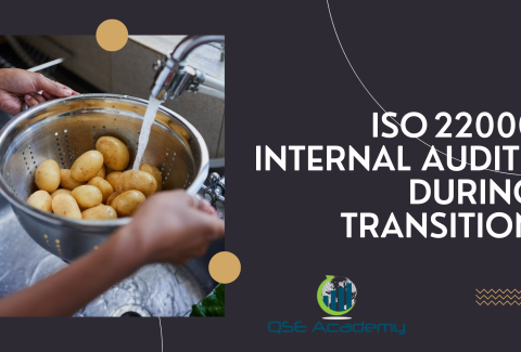 ISO 22000 Internal Audits During Transition