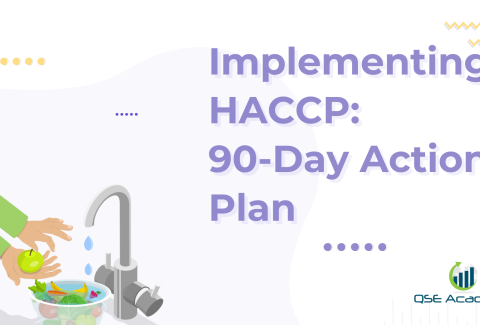 Implementing HACCP 90‑Day Action Plan